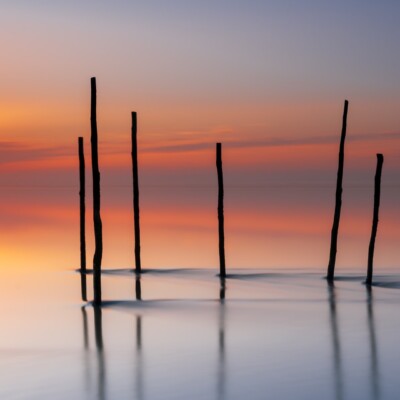 Palen in het wad bij zonsondergang