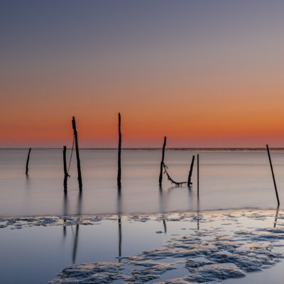 Palen met touwen in de waddenzee