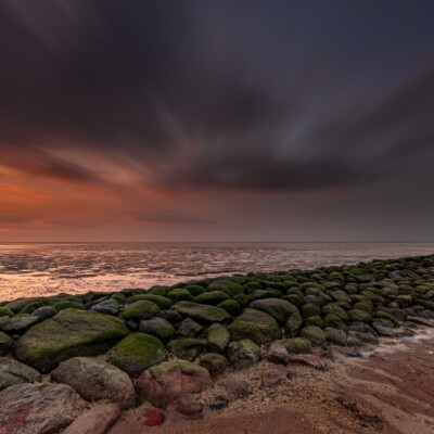 Stenen met mos op het wad