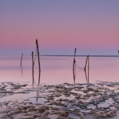 Palen in het wad
