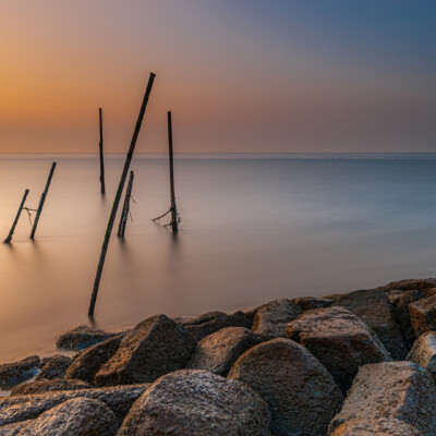 Palen in een stille zee
